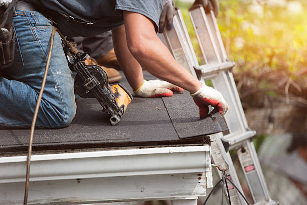 Best Local Roofing Companies  in Leon, IA